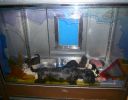 Pet shop "Life & Nature