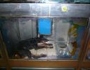 Pet shop "Life & Nature