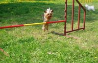 Agility - "hop!"