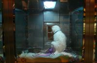 Pet shop "Life & Nature