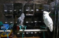 Pet shop "Life & Nature